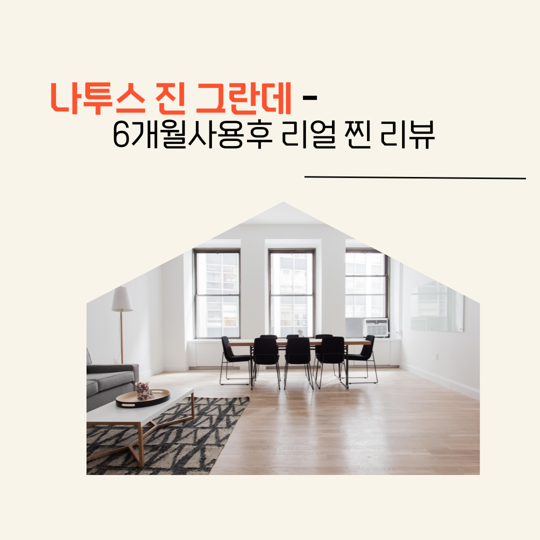 나투스 진 그란데 6개월 사용후 리얼 찐 리뷰