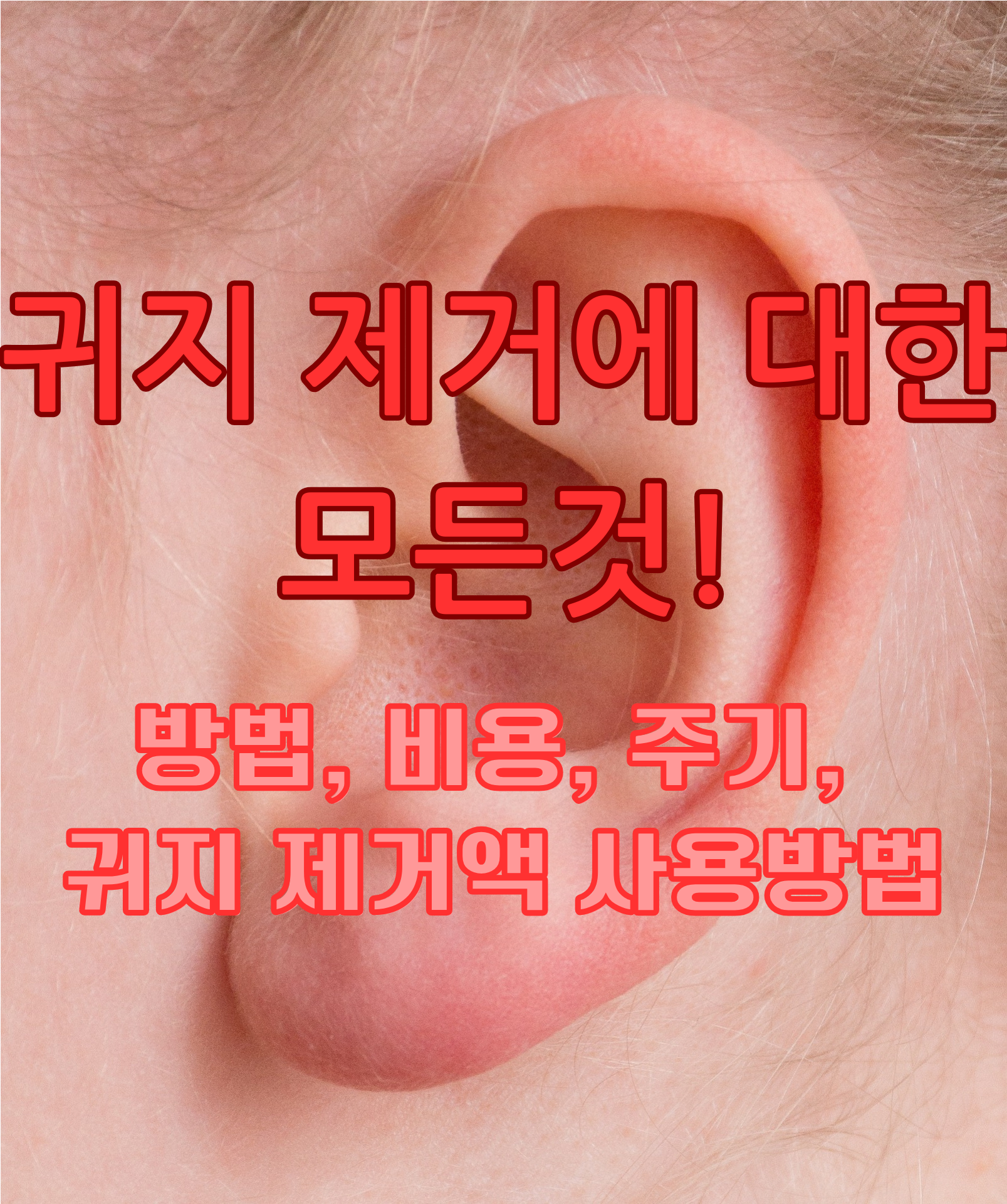 귀지 제거에 대한 모든것! 비용, 방법, 주기, 귀지 녹이는 액 사용법
