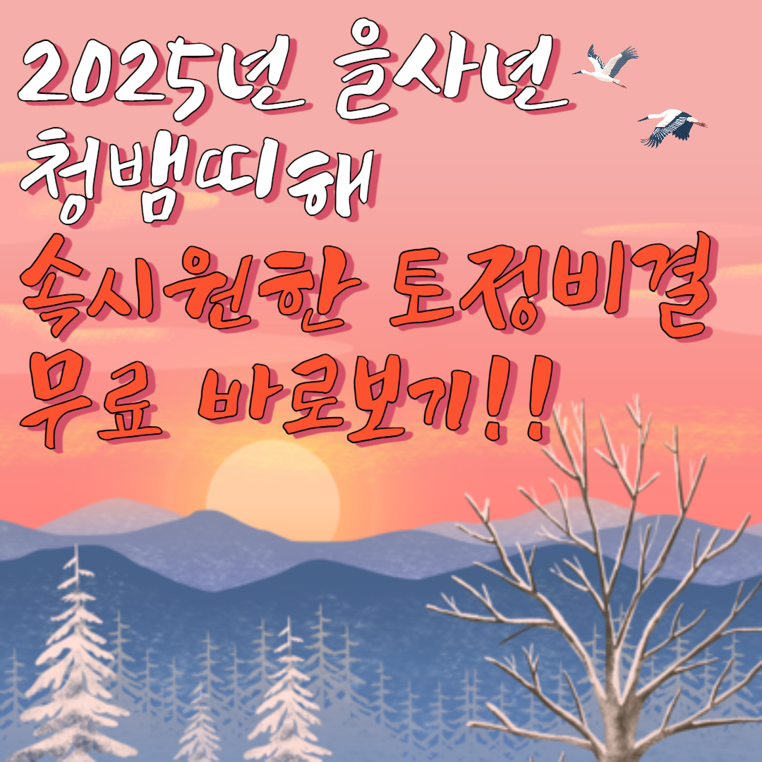 2025년 을사년 청뱀띠해 속시원한 토정비결 무료 바로보기