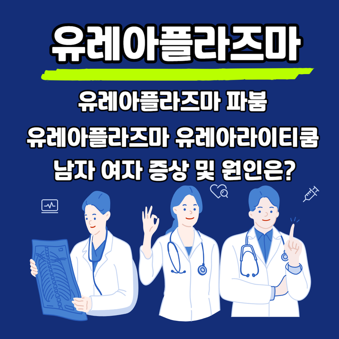 유레아플라즈마 파붐 유레아라이티쿰 남자 여자 증상 원인