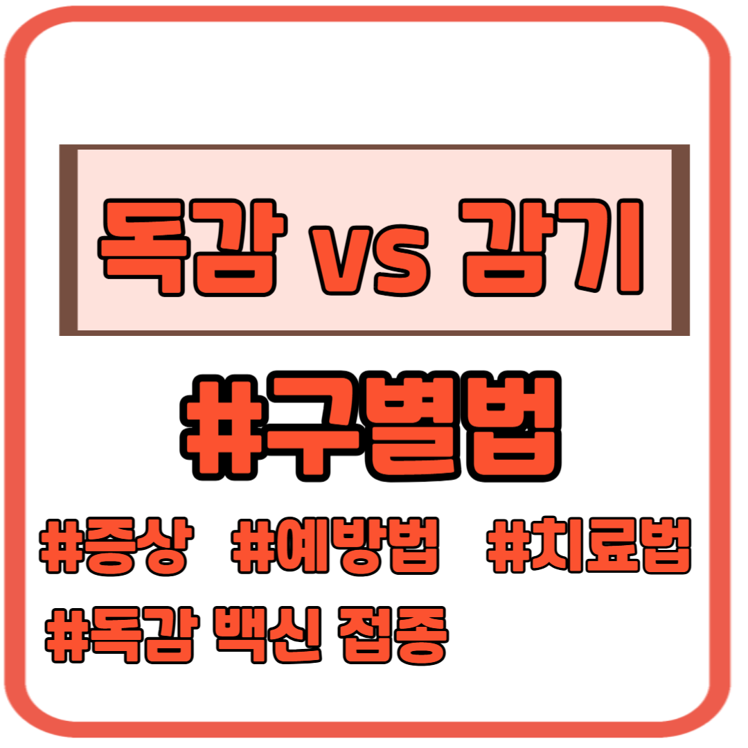 독감 감기 구별법 증상 예방법 치료법 백신 접종