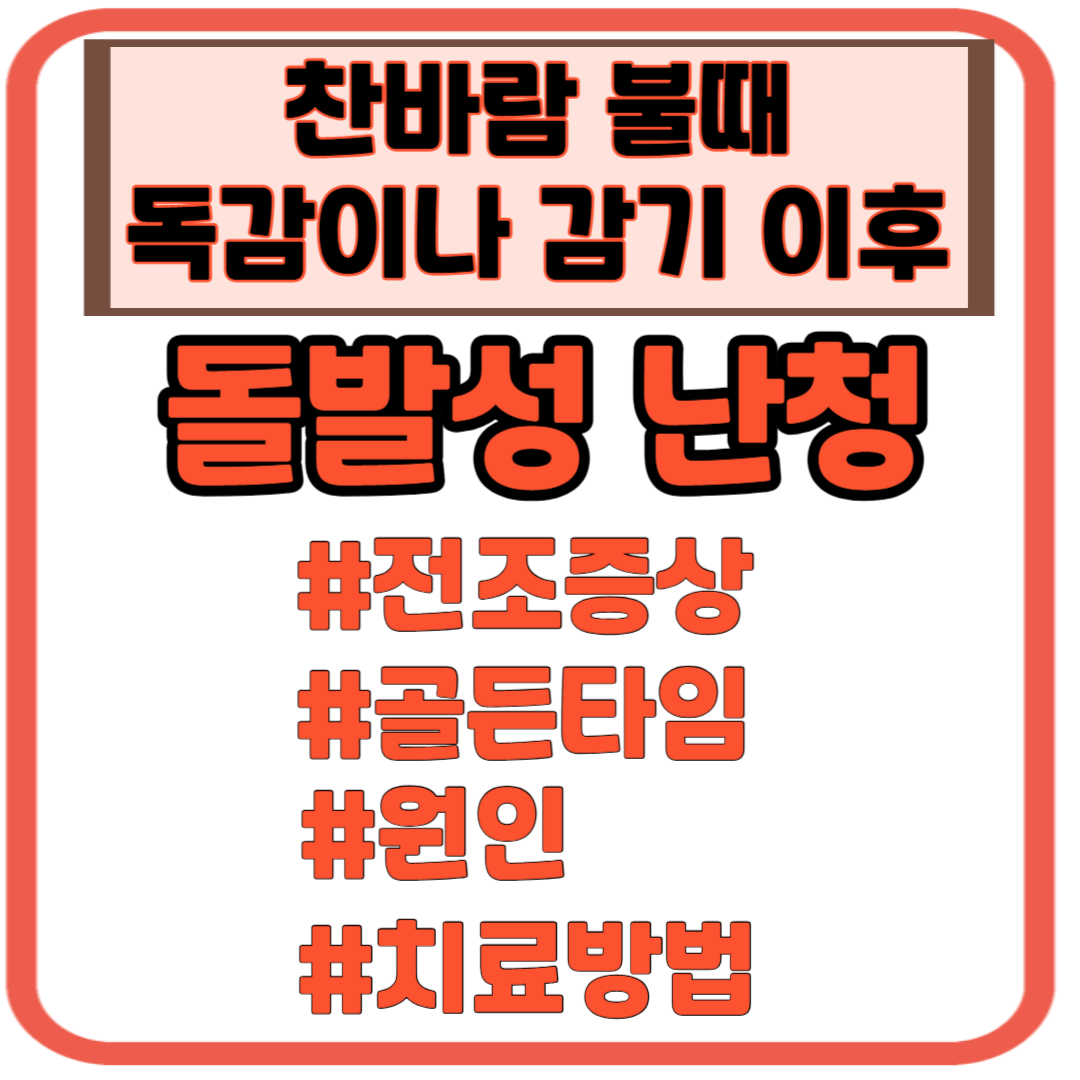 돌발성 난청 전조증상 골든타임 원인 치료방법